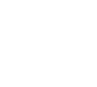 QRIS logo
