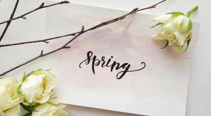 spring graphic with flower